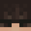 Skibidi_Samochod - head